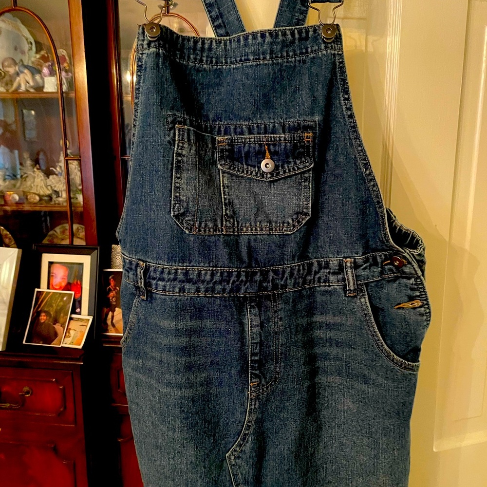 Brand new overall jumper. Full skirt. Never been worn, just tried on. Size XL.